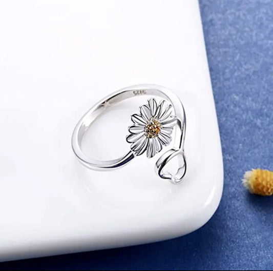 Stainless Steel Ring